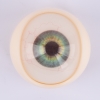 آنکھوں کا رنگ DL-آنکھیں-ہلکا نیلا۔