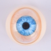 Cor dos ollos DL-ollos-azul escuro