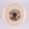 Øyefarge DL-øyne-grønne
