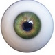 צבע עיניים 168-Eye2