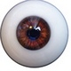 Couleur des yeux 168-Eye1