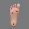 Feet Option AXB-TPE-Standing(+$60)