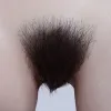 Pubic Hair Axb-Tpe-pubes-3(+$60)