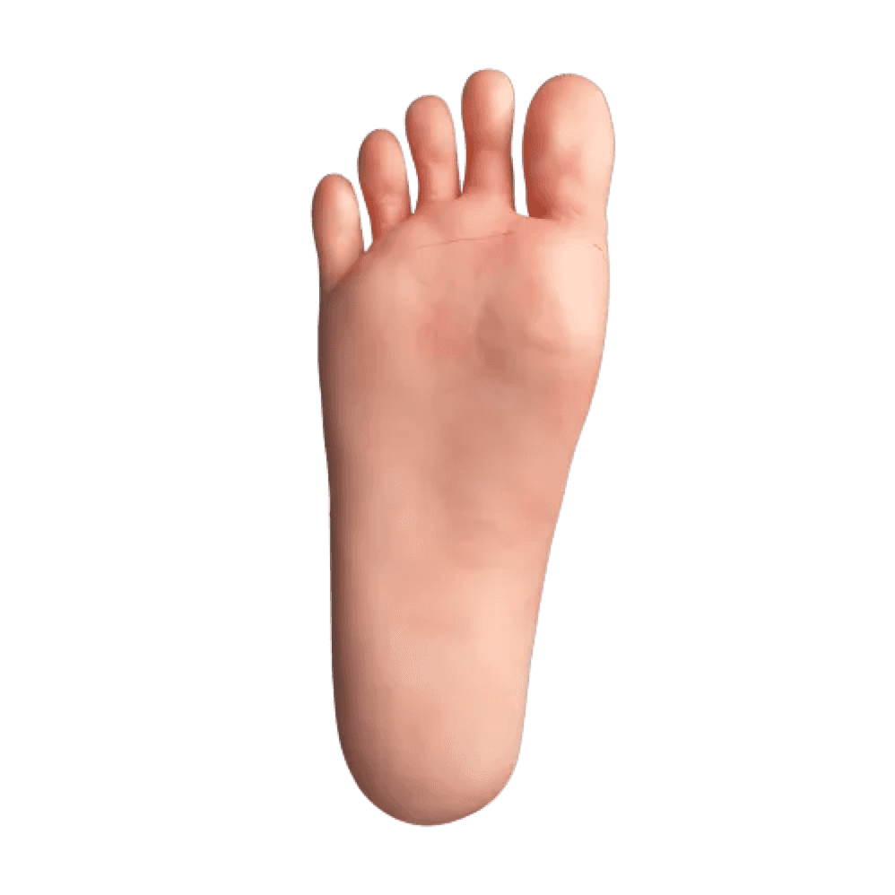 Feet Option Bezlya-Not-Standing(+$119)