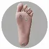 Piedi Opzione COS-piedi-piedi（+$50）