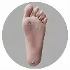 Feet Option COS-standing-feet (+$50)