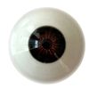 Oogkleur DH-Eye#2