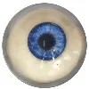 Cor de ollos DL-YQ-azul