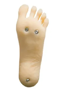 Варіант для ніг DL-YQ-Standing-Feet (+$50)