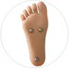 Feet Option Doll4ever-standing-feet(+$50)