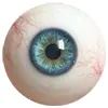 גלגלי עיניים נוספים FAN-Extra-Eyes-Blue-Green(+$80)