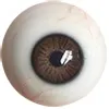 גלגלי עיניים נוספים FAN-Extra-Eyes-Brown(+$80)