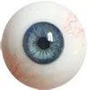 Dodatna zrkla FAN-Extra-Eyes-Sivo-Blue (+80 USD)