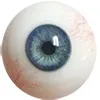 צבע עיניים FANREAL-ניידות-עיניים-אפור-כחול