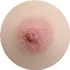 Areola Barva FANREAL-Pink-Areola