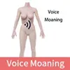 Voice Function Funwest-Voice-Function(+$250)