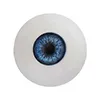 Eye Color Irtpe-Shining-Blue