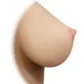 Breasts Irtpe-solid-breast