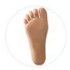 Opción de pés JXdoll-Regular