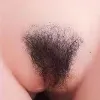 Pubic Hair MeseTPE-pubic-hair1(+$25)