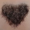 Pubic Hair Normon-pubic-hair-#2(+$50)