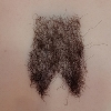 Pubic Hair Normon-pubic-hair-#4(+$50)