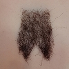 საჯარო თმა ნორმალური-pubic-hair-#4 (+$50)