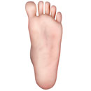 Feet Option Normon-sawv