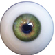 Couleur des yeux Piper Green