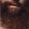 داڑھیوں کی اصلیت - داڑھی موٹی （+$129）