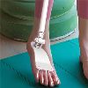 Остварување на коските на стапалата-Коски на стапалата-Да (+60 долари)