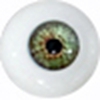 Augenfarbe Rosretty-Eyes-Color5