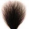 Pubic Hair Rosretty-Pubic-Hair-Trmmed (+$60)