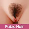 หัวหน่าว SE-Pubic-Hair-02(+$50)