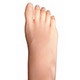 Color de las uñas de los pies Sanhui-Toenail1