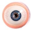 Eye Color Star-Moveable-Bloody-EYE-blue
