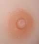 Areola Color WM lysebrun