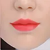 Цвят за устни WMsilicone-lip-color3
