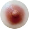 Areola Color XT-Areola-Colo-marrom-escuro