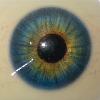 आँखों का रंग XT-आँखें-नीला