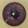 צבע עיניים XT-Eyes-Brown