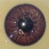 Cor dos Olhos XT-Olhos-Marrom