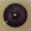 डोळ्याचा रंग XT-डोळे-गडद-तपकिरी