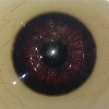 Cor dos Olhos XT-Olhos-Marrom Escuro
