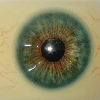 Cor dos olhos XT-Olhos-Verde esmeralda