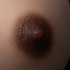 สี Areola Zelex-Areola-Balck