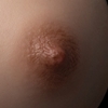 Areola Color Zelex-Areola-Lux Tan