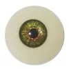 Colore occhi axb-eyes-st14