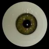 สีตา axb-eyes-st9
