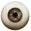 Silmade värv axb-eyes-stg3
